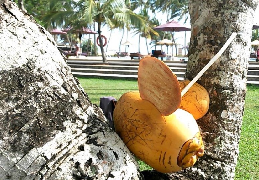 kingcoconut